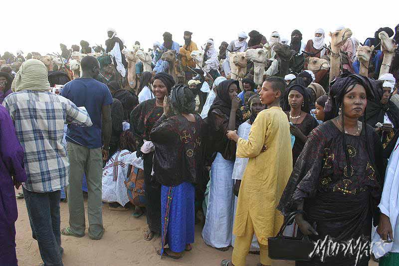 Mud Maps Africa Gaddafi camel party 3441